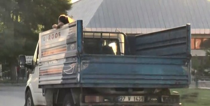 Erzurum’da kamyonet arkasındaki tehlikeli yolculuk