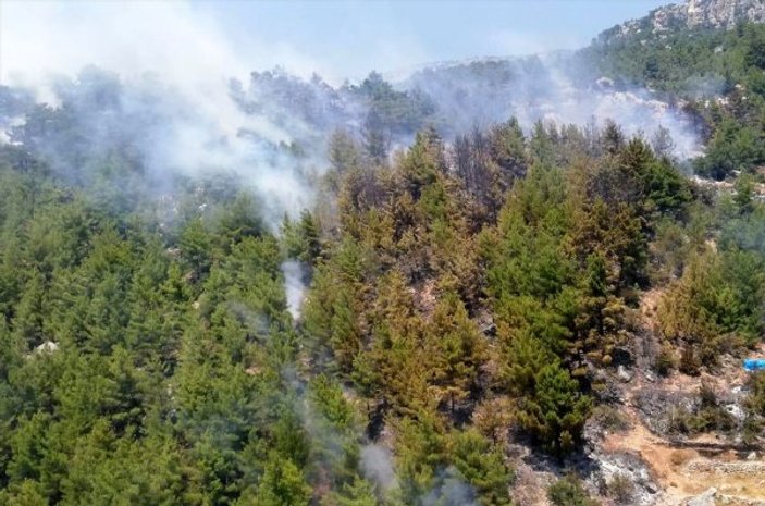 Mersin'de orman yangını