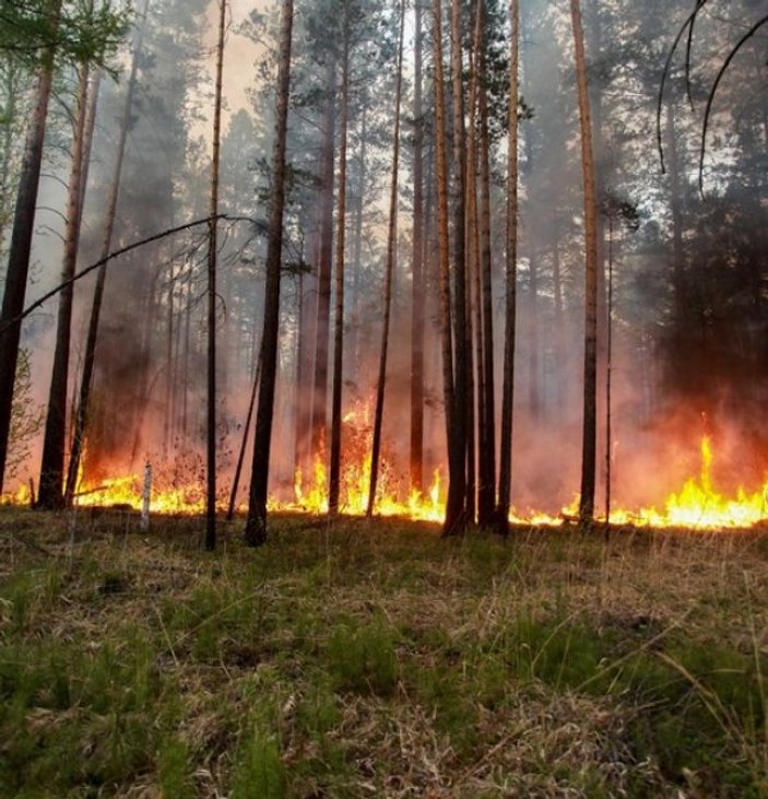 İklim değişikliği, kuzey kutbunda yangınlara neden oluyor