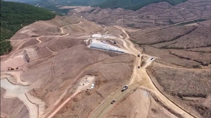 Kaz Dağları'ndaki altın madeni için yapılan ağaç katliamı