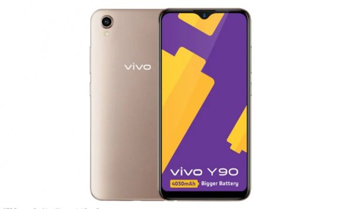 vivo