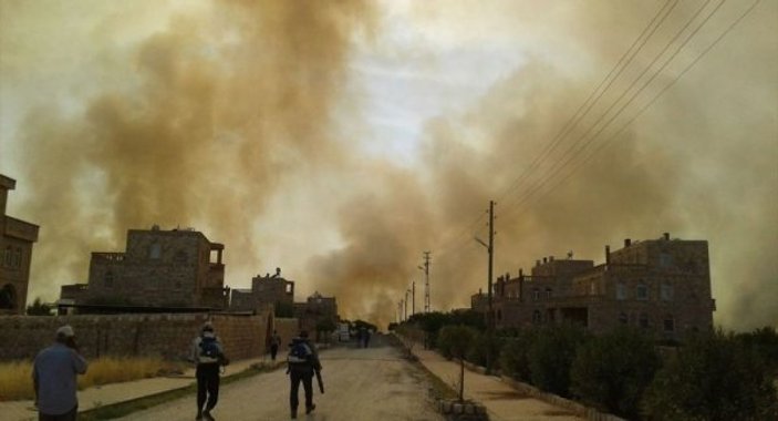 Mardin'in Bagok Dağı’nda yangın