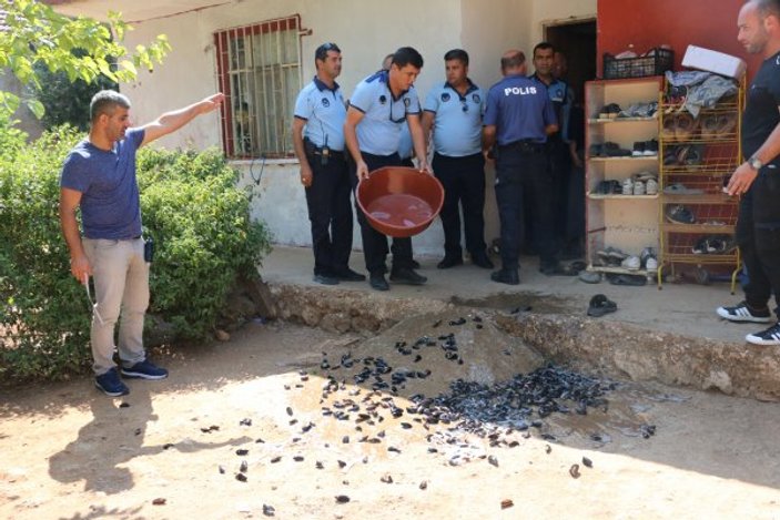 Antalya'da bin 180 kilogram midyeye el konuldu