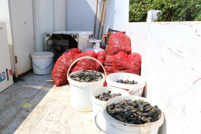 Antalya'da bin 180 kilogram midyeye el konuldu