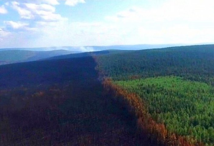 Sibirya'daki yangında 3 milyon hektar orman kül oldu