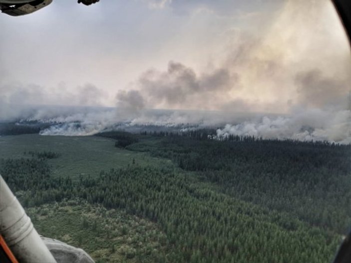 Rusya'da 3 milyon hektardan fazla orman yandı