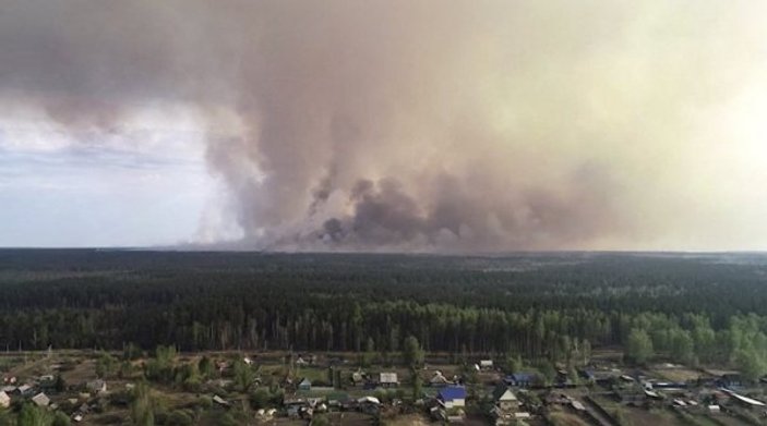 Rusya'da 3 milyon hektardan fazla orman yandı