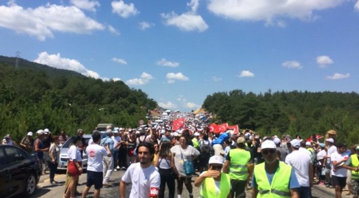 Kaz Dağları'nda ağaç katliamına karşı eylem