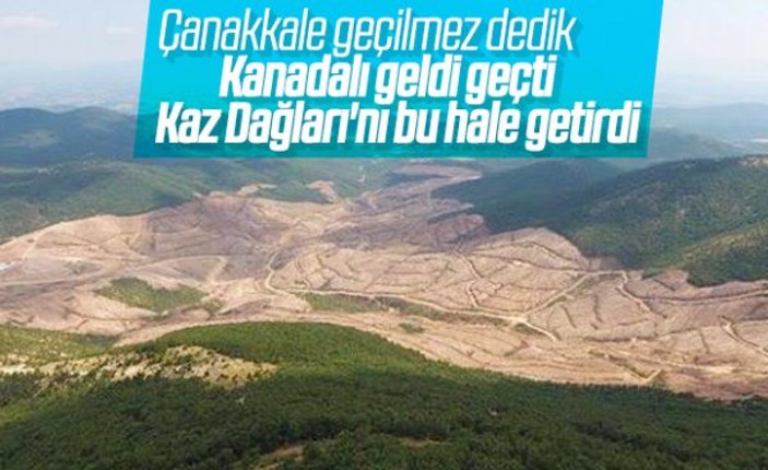 Kaz Dağları'nda ağaç katliamına karşı eylem