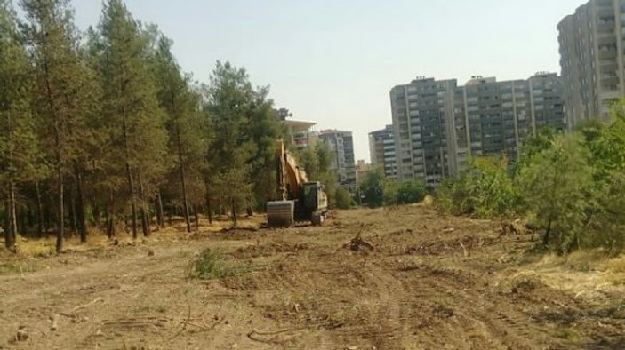 HDP'li Batman Belediyesi 170 ağacı katletti