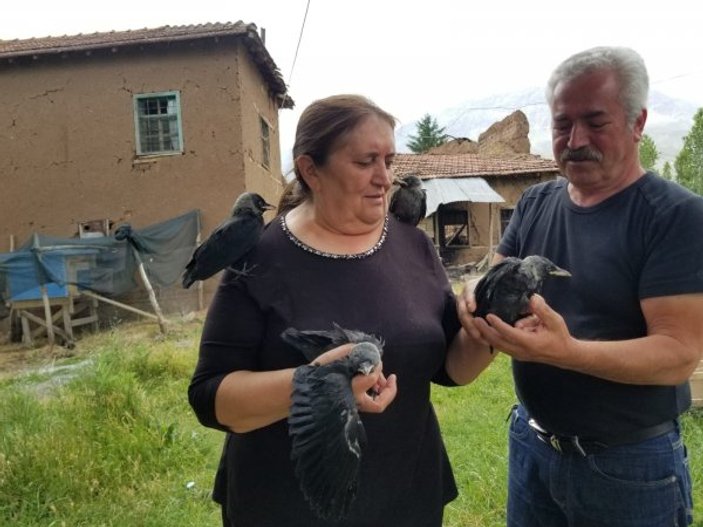 Erzincan'da bir baba, kargalara çocuklarının adını verdi