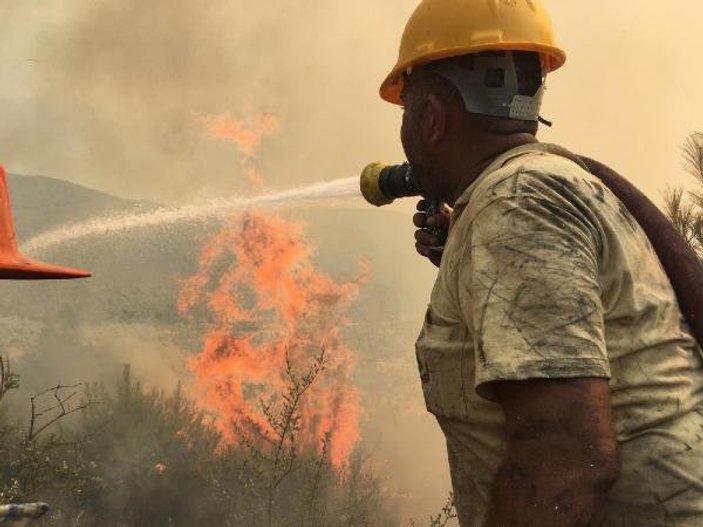 Bodrum'da ormanlık alanda yangın