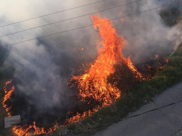 Tekirdağ'daki yangında yüzlerce odun kül oldu