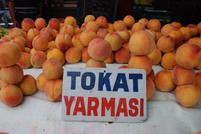 Tokat'ta tarlada 1 lira olan şeftali markette 4.95