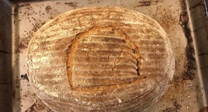 4500 yıllık maya ile ekmek pişirdi