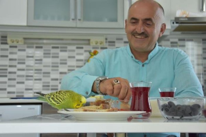 Bursa'da öğretmen, muhabbet kuşuna yüzlerce kelime öğretti