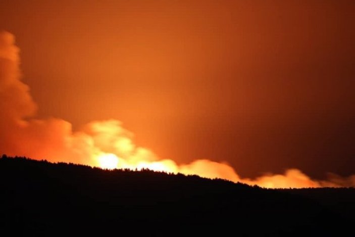Tarihi Gelibolu yarımadasında orman yangını
