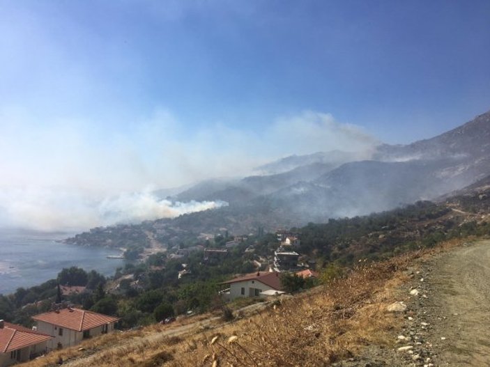 Türkiye'de 12 Ağustos'ta 15 orman yangını