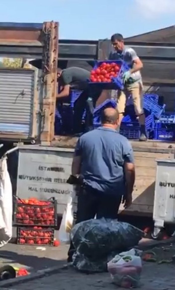 İstanbul'da hal pazarında çöpe atılan domatesler