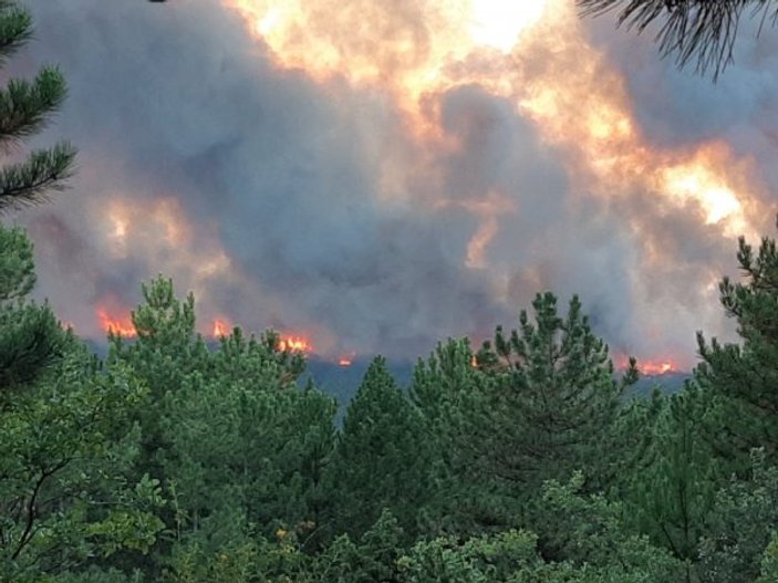 Kütahya'daki yangın kontrol altına alındı, 80 hektar alan kül oldu
