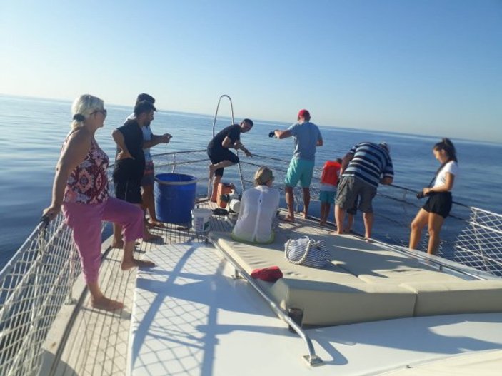 Antalya'da 3 metrelik köpek balığı oltaya takıldı