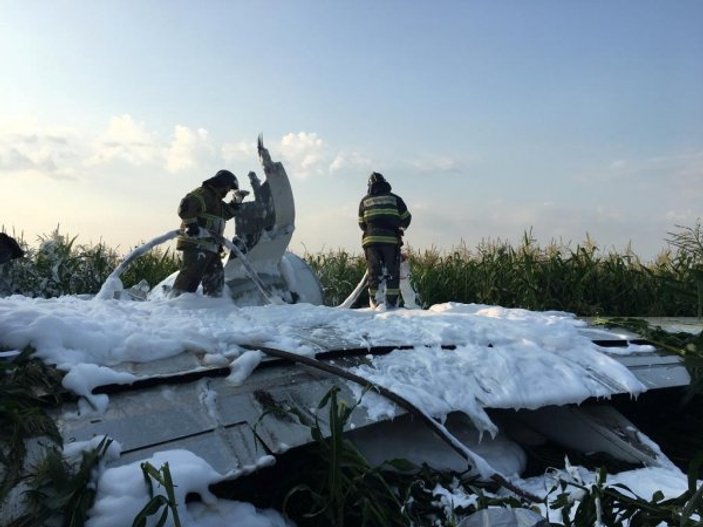 Rusya'da bir uçak kuş sürüsüne çarpınca acil iniş yaptı