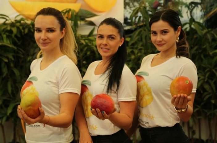 Türkiye ithal ettiği mangoyu artık ihraç ediyor