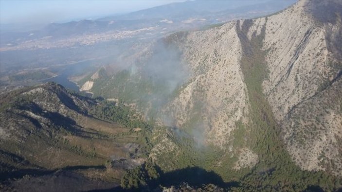 İzmir'de 500 hektar orman yandı