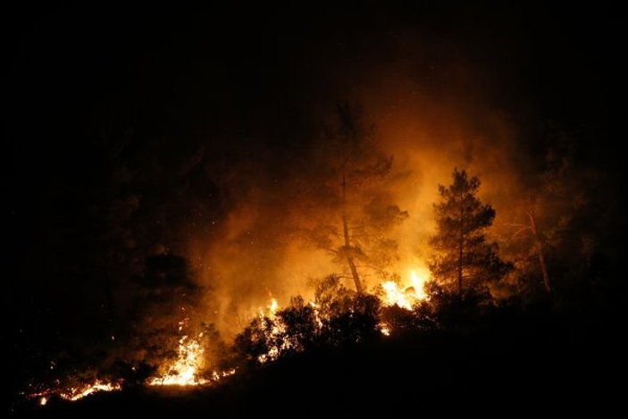 İzmir'de 500 hektar orman yandı