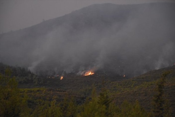 Bodrum ve Milas'taki yangınlarda kundaklama şüphesi