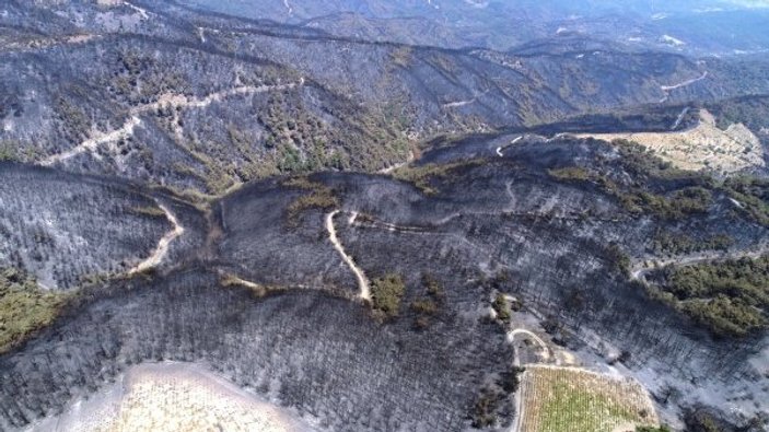 İzmir'deki orman yangınından sonra ortaya çıkan görüntü