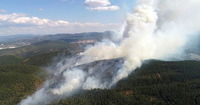 Bursa'daki orman yangınının sebebi sabotaj