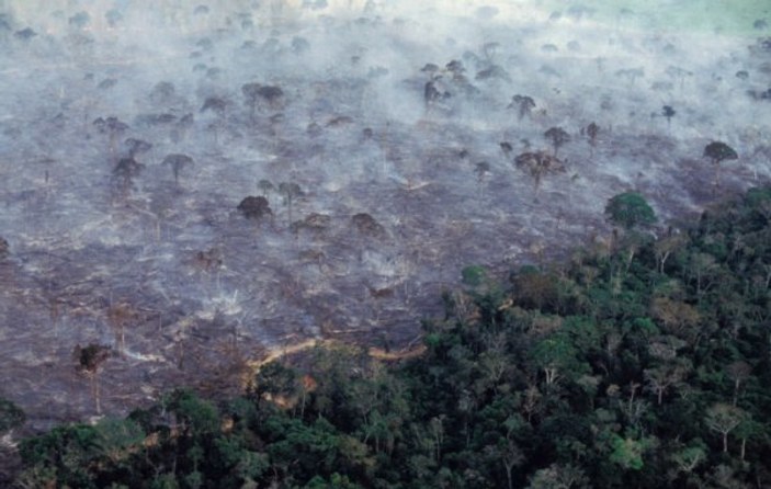 Bolivya'dan Amazon ormanları üzerinden uçuşlara yasak