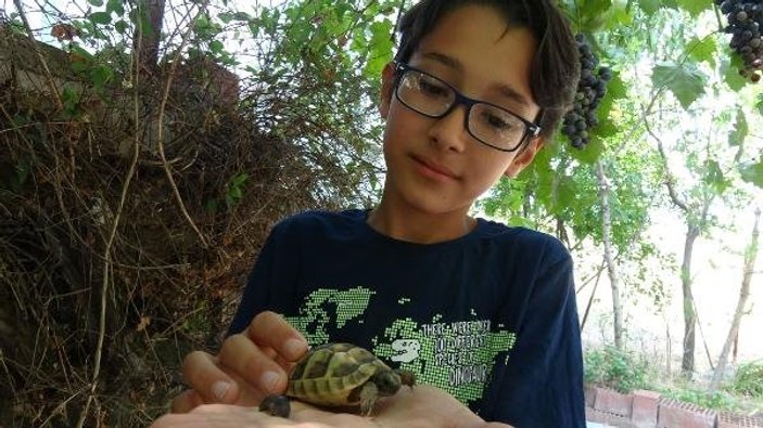 Hayvanları tanıtan 12 yaşındaki Mehmet fenomen oldu