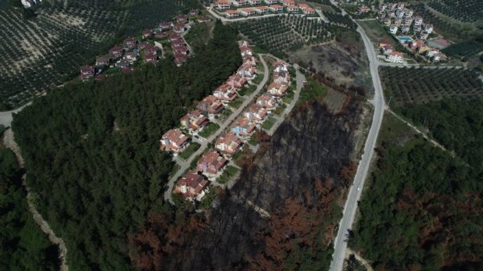Bursa'da geçtiğimiz yıl yanan orman yeniden ağaçlandırıldı