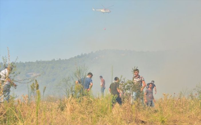 Çanakkale'de orman yangını