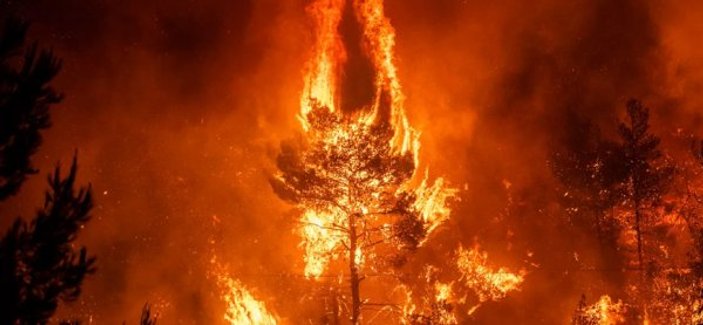 Amazon'da çıkan yangın sayısında büyük artış