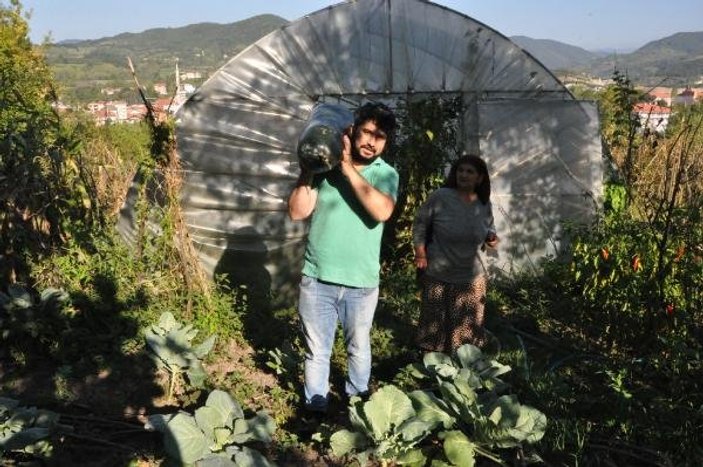 Bahçesine ektiği Çin salatalığı 1 metreye ulaştı