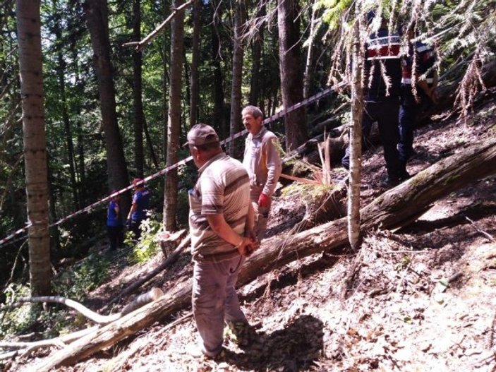 Karabük'te üzerine ağaç devrilen şahıs hayatını kaybetti