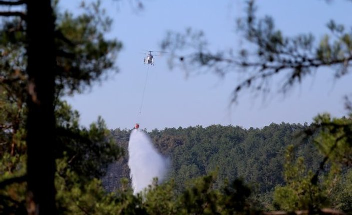 Bursa’daki orman yangınlarının failleri yakalandı