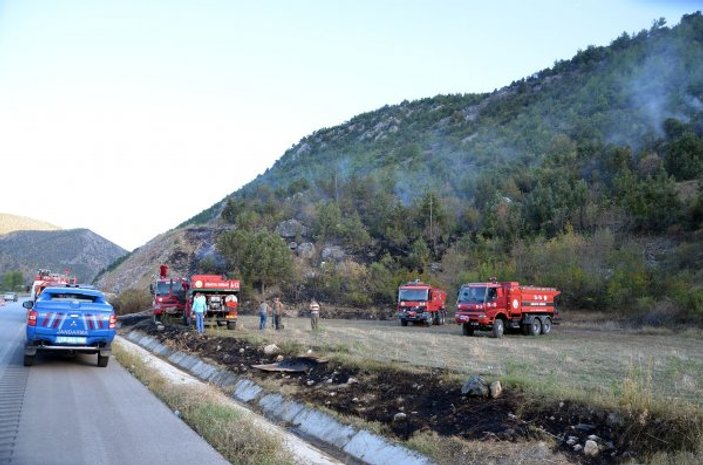 Çorum'da sigara izmariti 5 dönümlük orman alanını kül etti