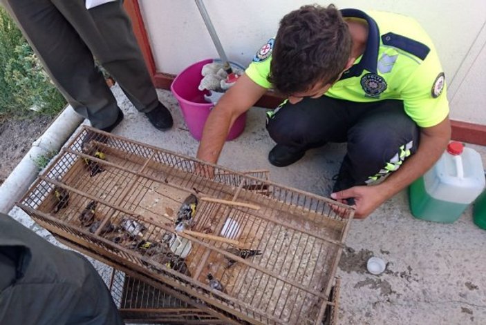 Çanakkale'de 132 bin liralık kuş avı cezası aldı