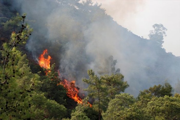 Muğla'da orman yangını kontrol altına alındı