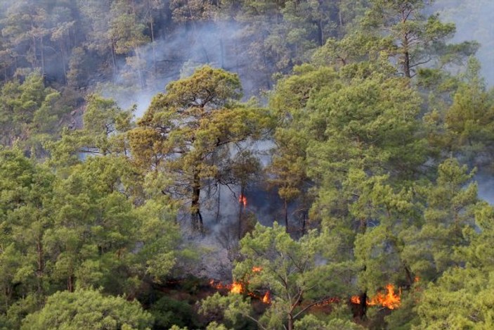 Muğla'da orman yangını kontrol altına alındı