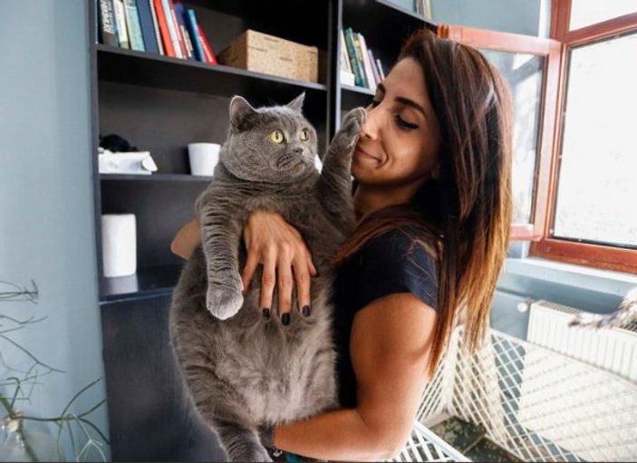 Ankara'da pilatesle zayıflayan obez kedi