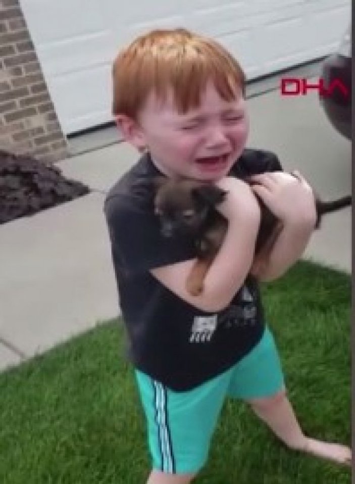 ABD'de yavru köpek hediye edilen çocuğun gözyaşları