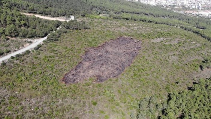 Kundaklanan Aydos Ormanı'ndaki tahribat görüntülendi