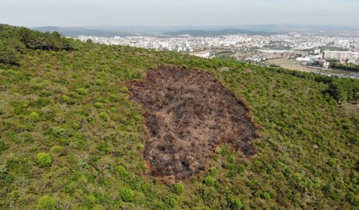 Kundaklanan Aydos Ormanı'ndaki tahribat görüntülendi