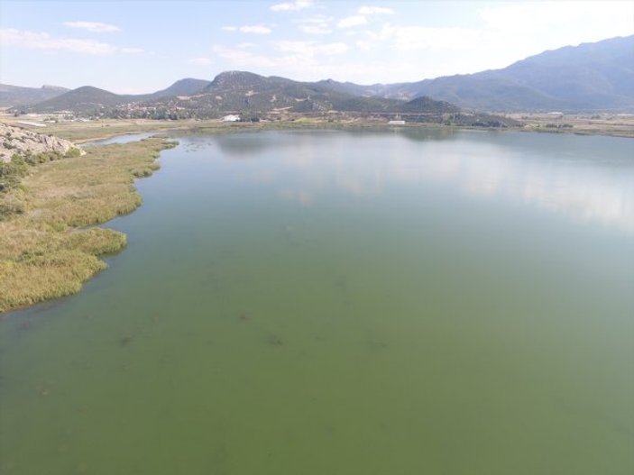 Gölhisar'da 2 bin yayın balığı göle bırakıldı