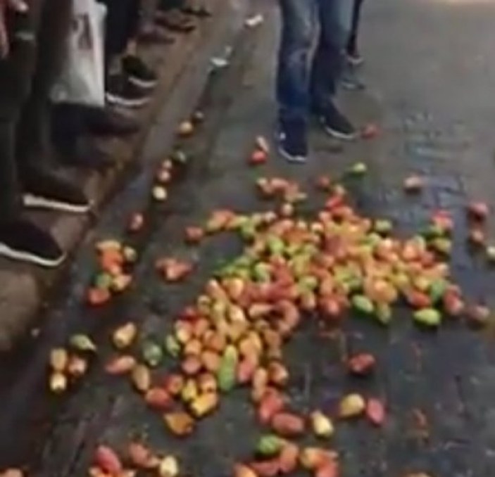 Zabıta ekipleri incirleri yere döktü, mahalleli ayaklandı